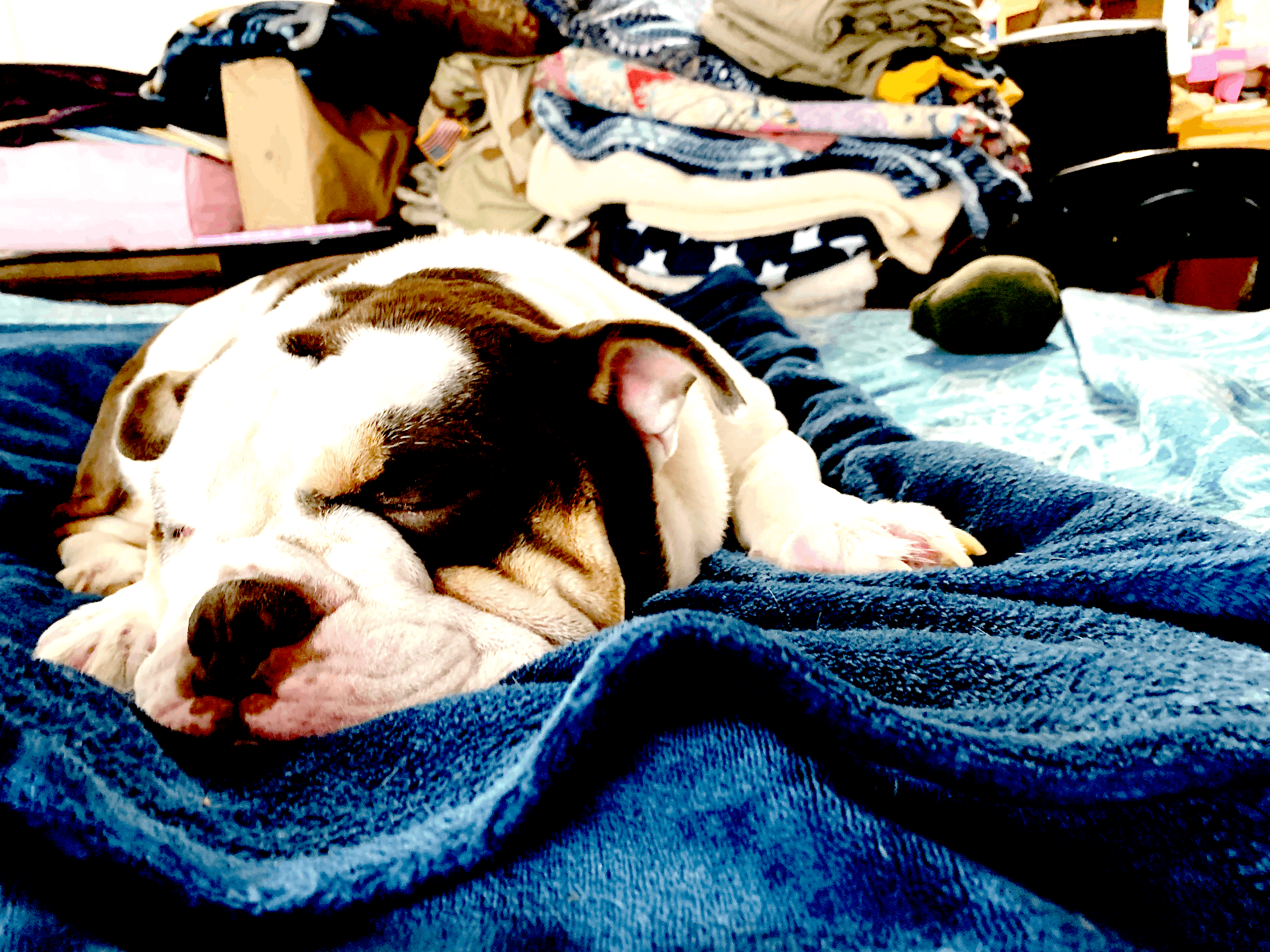 Brightened image with improved contrast