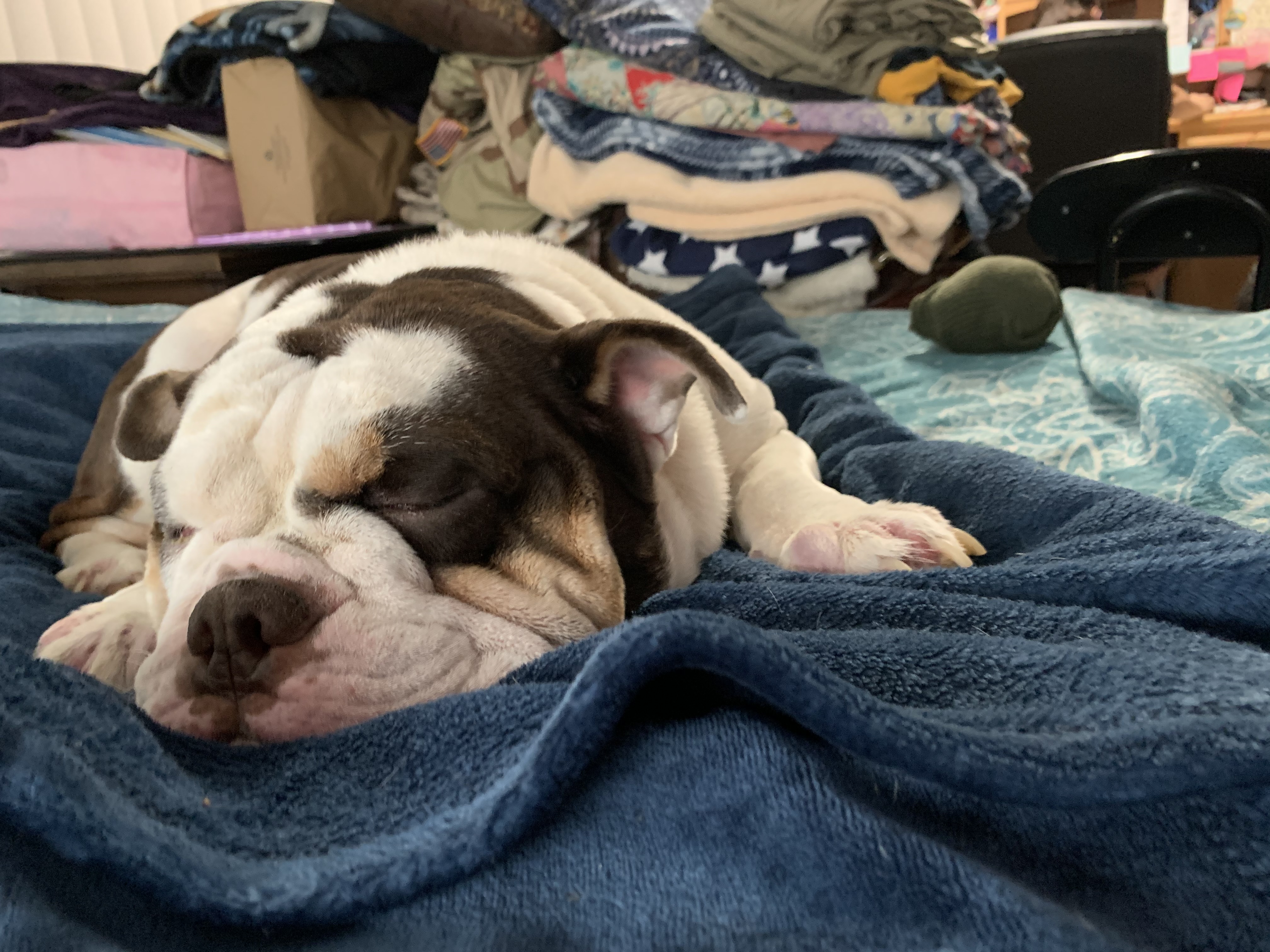 Underexposed original image